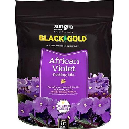 BLACK GOLD African Violet Mix 8qt GL61100512701